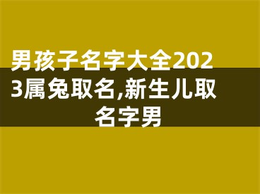 男孩子名字大全2023属兔取名,新生儿取名字男