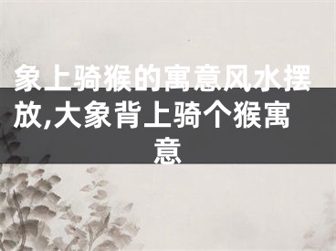象上骑猴的寓意风水摆放,大象背上骑个猴寓意