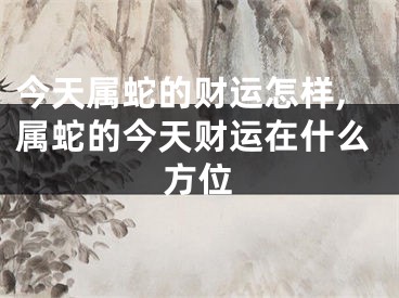 今天属蛇的财运怎样,属蛇的今天财运在什么方位