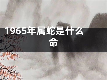 1965年属蛇是什么命