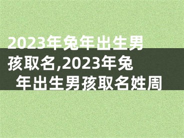 2023年兔年出生男孩取名,2023年兔年出生男孩取名姓周