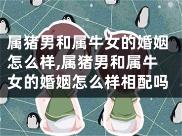 属猪男和属牛女的婚姻怎么样,属猪男和属牛女的婚姻怎么样相配吗
