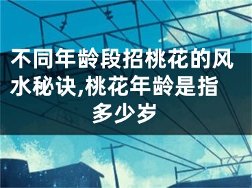 不同年龄段招桃花的风水秘诀,桃花年龄是指多少岁