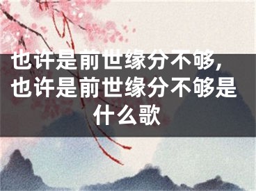 也许是前世缘分不够,也许是前世缘分不够是什么歌