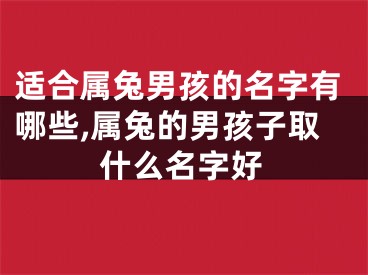 适合属兔男孩的名字有哪些,属兔的男孩子取什么名字好