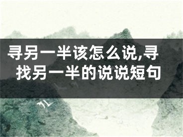 寻另一半该怎么说,寻找另一半的说说短句