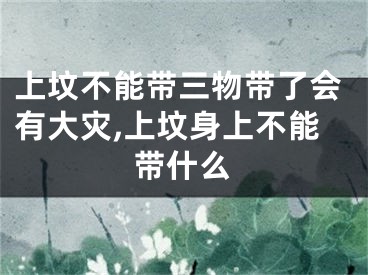 上坟不能带三物带了会有大灾,上坟身上不能带什么