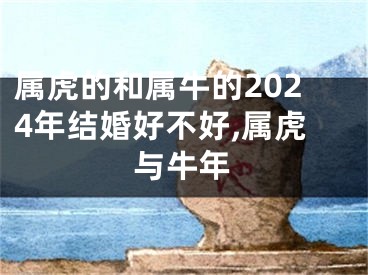 属虎的和属牛的2024年结婚好不好,属虎与牛年