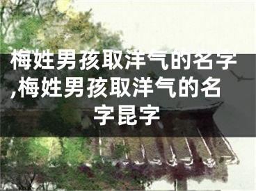 梅姓男孩取洋气的名字,梅姓男孩取洋气的名字昆字