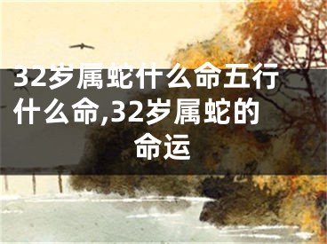 32岁属蛇什么命五行什么命,32岁属蛇的命运