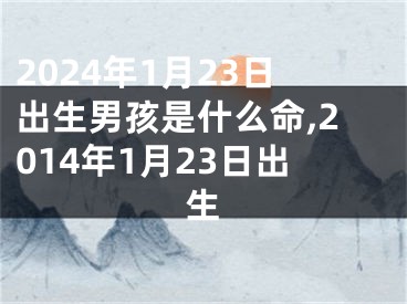 2024年1月23日出生男孩是什么命,2014年1月23日出生