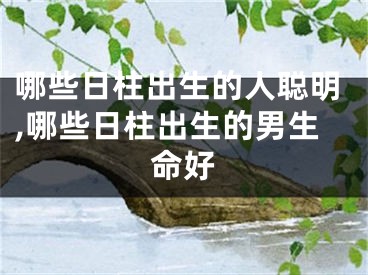 哪些日柱出生的人聪明,哪些日柱出生的男生命好