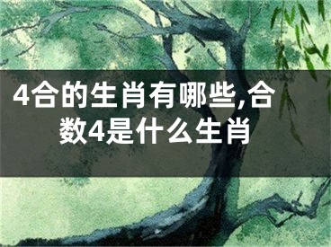 4合的生肖有哪些,合数4是什么生肖