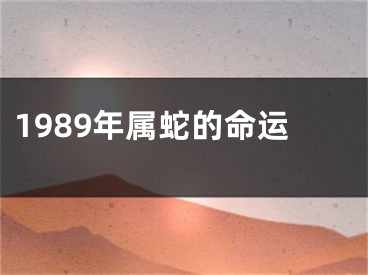 1989年属蛇的命运