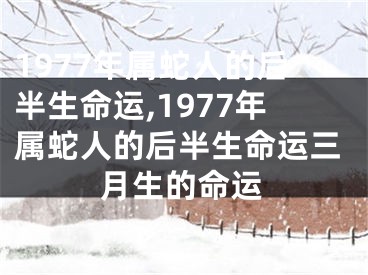 1977年属蛇人的后半生命运,1977年属蛇人的后半生命运三月生的命运