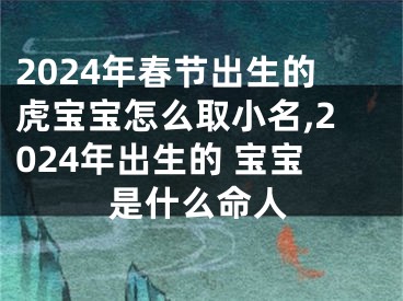 2024年春节出生的虎宝宝怎么取小名,2024年出生的 宝宝是什么命人