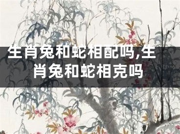 生肖兔和蛇相配吗,生肖兔和蛇相克吗