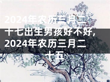 2024年农历三月二十七出生男孩好不好,2024年农历三月二十五
