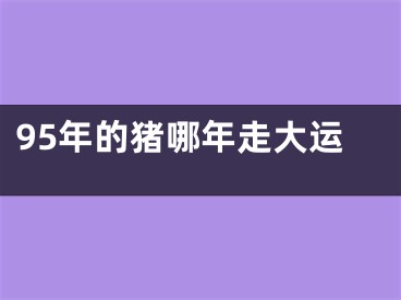 95年的猪哪年走大运