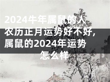 2024牛年属鼠的人农历正月运势好不好,属鼠的2024年运势怎么样