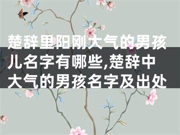 楚辞里阳刚大气的男孩儿名字有哪些,楚辞中大气的男孩名字及出处