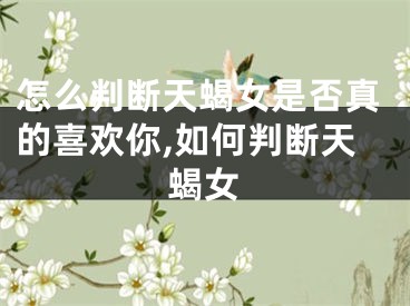 怎么判断天蝎女是否真的喜欢你,如何判断天蝎女