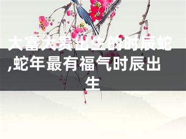 大富大贵出生的时辰蛇,蛇年最有福气时辰出生