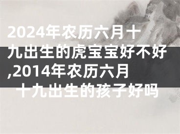 2024年农历六月十九出生的虎宝宝好不好,2014年农历六月十九出生的孩子好吗