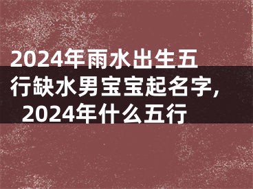 2024年雨水出生五行缺水男宝宝起名字,2024年什么五行