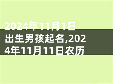 2024年11月1日出生男孩起名,2024年11月11日农历