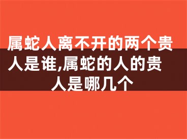 属蛇人离不开的两个贵人是谁,属蛇的人的贵人是哪几个