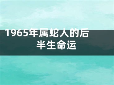 1965年属蛇人的后半生命运