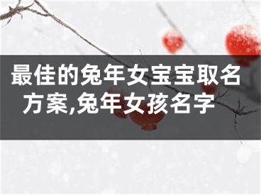 最佳的兔年女宝宝取名方案,兔年女孩名字