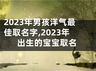2023年男孩洋气最佳取名字,2023年出生的宝宝取名