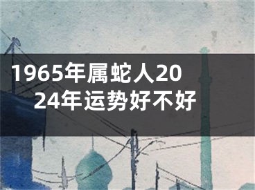 1965年属蛇人2024年运势好不好
