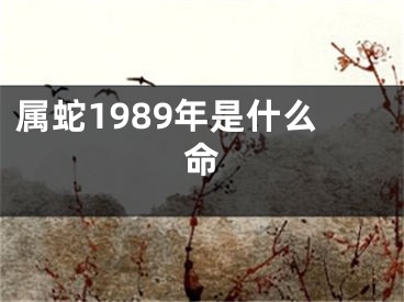 属蛇1989年是什么命