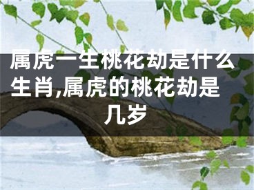 属虎一生桃花劫是什么生肖,属虎的桃花劫是几岁
