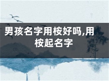 男孩名字用桉好吗,用桉起名字