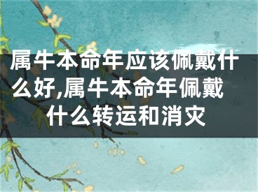 属牛本命年应该佩戴什么好,属牛本命年佩戴什么转运和消灾