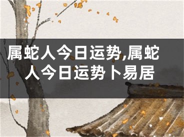 属蛇人今日运势,属蛇人今日运势卜易居