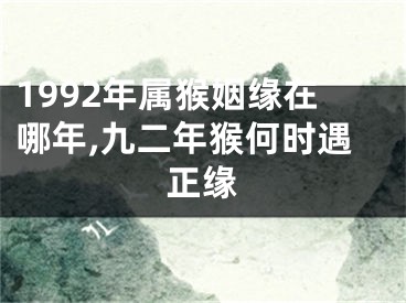 1992年属猴姻缘在哪年,九二年猴何时遇正缘