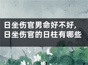 日坐伤官男命好不好,日坐伤官的日柱有哪些