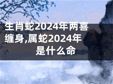 生肖蛇2024年两喜缠身,属蛇2024年是什么命