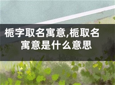 栀字取名寓意,栀取名寓意是什么意思