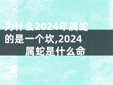 为什么2024年属蛇的是一个坎,2024属蛇是什么命