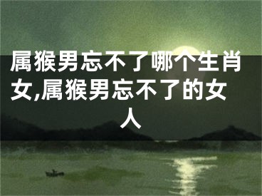 属猴男忘不了哪个生肖女,属猴男忘不了的女人