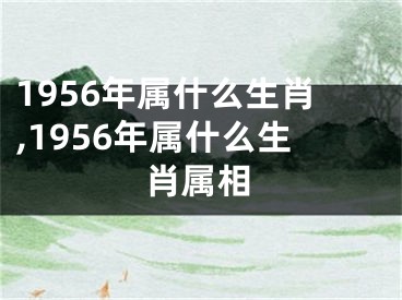 1956年属什么生肖,1956年属什么生肖属相