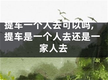 提车一个人去可以吗,提车是一个人去还是一家人去