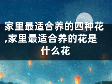 家里最适合养的四种花,家里最适合养的花是什么花