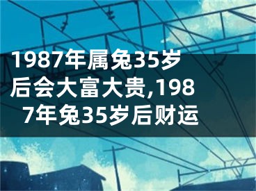 1987年属兔35岁后会大富大贵,1987年兔35岁后财运